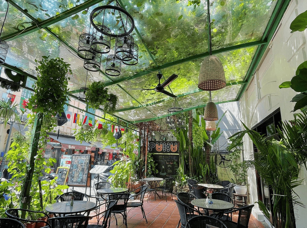 The spacious and green outdoor space with backpacker-friendly vibes, nostalgic design with vintage furniture and warm yellow lighting (Source: Puku Café and Sports Bar)